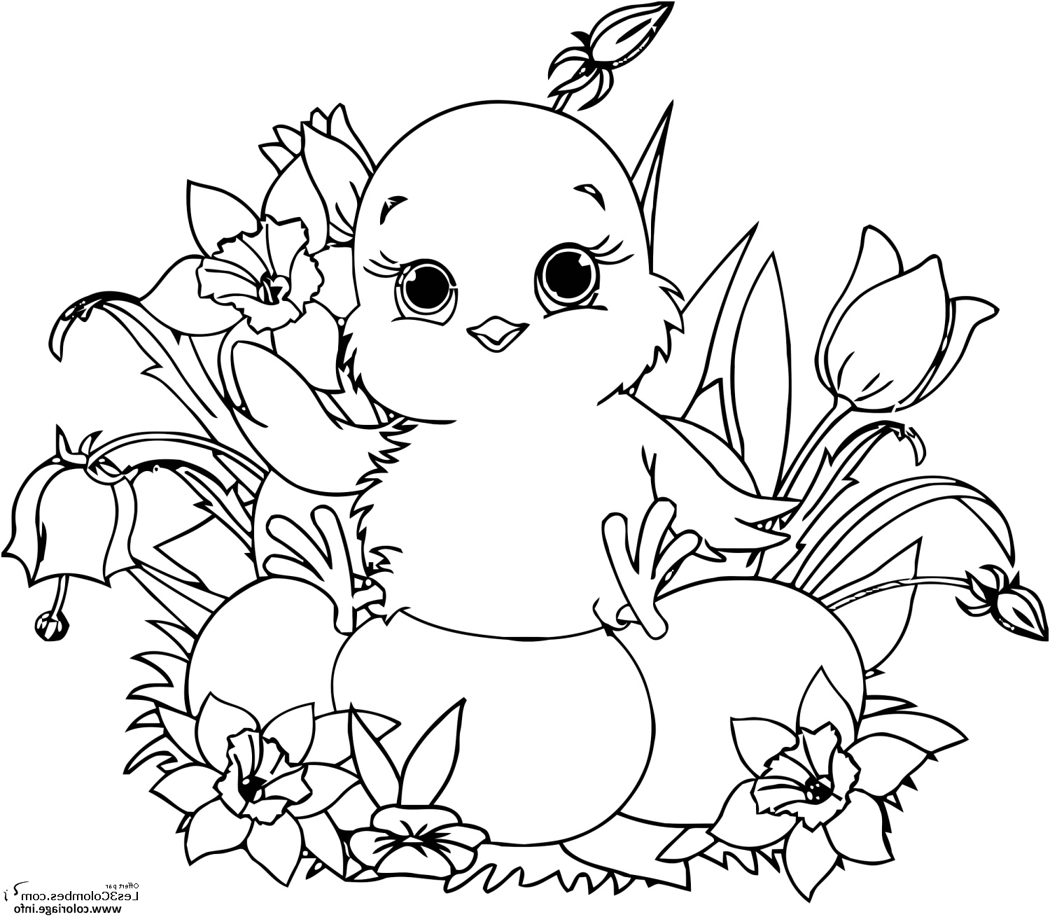 Coloriage Oeuf Paques Nice Coloriage Poussin Paques Oeufs Dessin