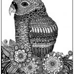 Coloriage Oiseau À Imprimer Inspiration Zentangle Oiseau Sabrina Zentangle Coloriages