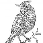 Coloriage Oiseau Luxe Animal Coloring Pages Pdf Birds
