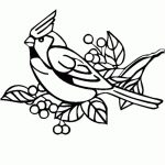 Coloriage Oiseaux À Imprimer Génial Nos Jeux De Coloriage Oiseau à Imprimer Gratuit