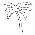 Coloriage Palmier Nouveau Palmier 27 Nature – Coloriages à Imprimer