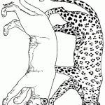 Coloriage Panthere Nice Panther Coloring Pages Coloringpagesabc