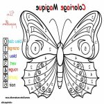 Coloriage Papillon Facile Inspiration 15 Exclusif Coloriage Papillon Facile Collection Coloriage