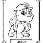 Coloriage Pat Patrouille Ruben Luxe Print Paw Patrol Everest Coloring Pages