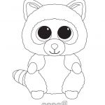 Coloriage Peluche Ty Génial Rocco The Raccoon Ty Beanie Boo