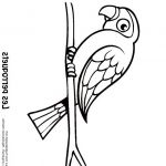 Coloriage Perroquet Élégant Les 110 Meilleures Images Du Tableau Coloriages D Oiseaux