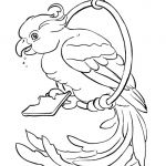 Coloriage Perroquet Élégant Perroquet 124 Animaux – Coloriages à Imprimer