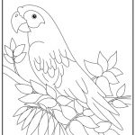 Coloriage Perroquet Nice Perroquet 15 Animaux – Coloriages à Imprimer