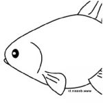 Coloriage Poisson Rouge Luxe Dessin Poisson Rouge