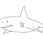 Coloriage Requin Frais Requin 15 Animaux – Coloriages à Imprimer