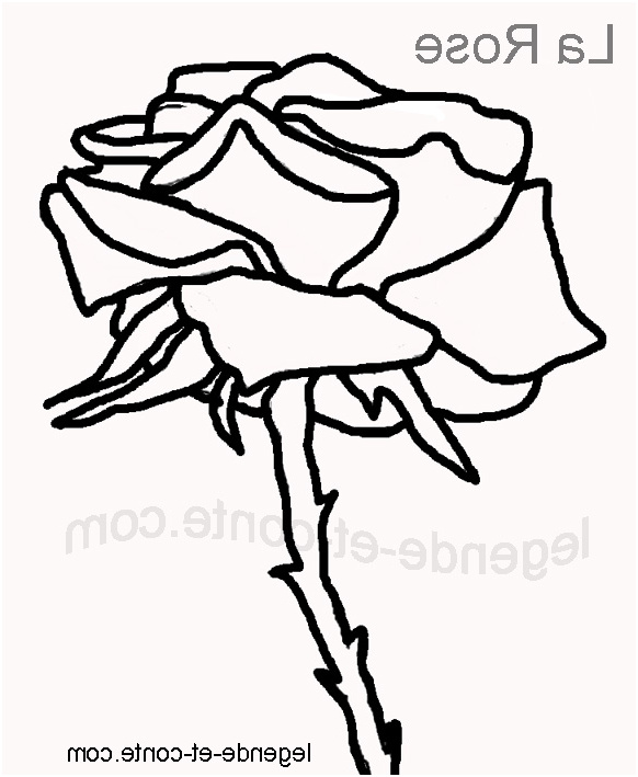 Coloriage Rose Inspiration Dessin De Rose Facile