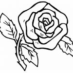 Coloriage Rose Meilleur De Coloriage Rose Sur Coloriage à Imprimer Du Net