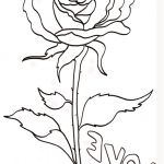 Coloriage Rose Nice Imprimer Le Coloriage Love La Rose 2