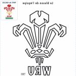 Coloriage Rugby Nouveau Symbole De L équipe De Rugby Du Pays De Galles Rugby Sur