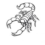 Coloriage Scorpion Nice Scorpion 10 Animaux – Coloriages à Imprimer