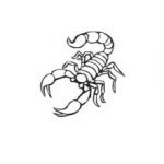 Coloriage Scorpion Nice Scorpion Animaux – Coloriages à Imprimer