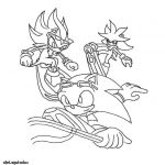 Coloriage Sonic Boom Génial Coloriage Sonic Riders Dessin