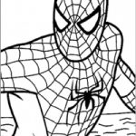 Coloriage Spiderman À Imprimer Gratuit Inspiration Coloriage Spiderman En Vecteur Dessin Gratuit à Imprimer