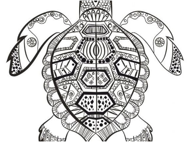 Coloriage Tahiti Frais Coloriage Mandala tortue A Imprimer Www