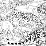Coloriage Tigre À Imprimer Nice Coloriage Guepard Tigre Et Lion Dans La Jungle Dessin