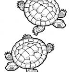 Coloriage tortue Mandala Nice Coloriage tortue à Imprimer Gratuitement