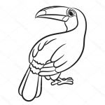 Coloriage toucan Luxe Ilustracja Ptak Tukan Kolorowanki — Grafika Wektorowa