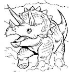 Coloriage Triceratops Génial Coloriages Triceratops Fr Hellokids