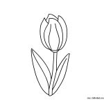 Coloriage Tulipe Élégant Tulipe 102 Nature – Coloriages à Imprimer
