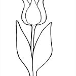 Coloriage Tulipe Élégant Tulipe 143 Nature – Coloriages à Imprimer