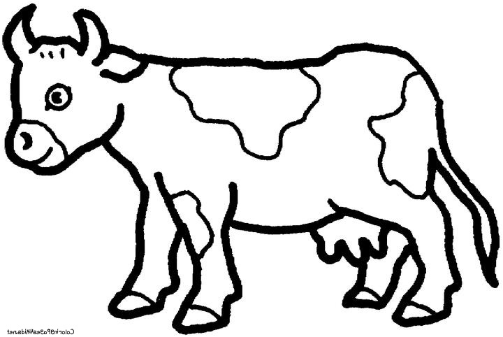 Coloriage Vache Nouveau Vache 43 Animaux – Coloriages à Imprimer
