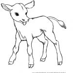 Coloriage Veau Meilleur De Vache 47 Animaux – Coloriages à Imprimer