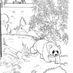 Coloriage Zoo Frais Kidprintables Coloring Pages