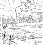 Coloriage Zoo Frais Two Raccoons And Alligator In A Zoo Coloring Page