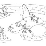 Coloriage Zoo Inspiration Coloriage Zoo 25 Coloriage Zoo Coloriages Animaux