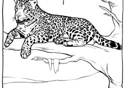 Coloriage Zoo Luxe Zoo Coloring Pages for Preschoolers