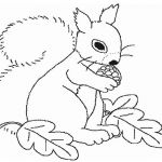 Ecureuil Coloriage Génial 67 Dessins De Coloriage écureuil à Imprimer Sur Laguerche