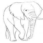 Éléphant Coloriage Luxe Dessin Elephant Indou
