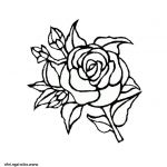 Fleurs Coloriage Inspiration Coloriage Rose Fleur Dessin