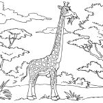 Girafe Coloriage Frais Coloriage Girafe Img