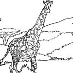 Girafe Coloriage Inspiration Girafe 57 Animaux – Coloriages à Imprimer