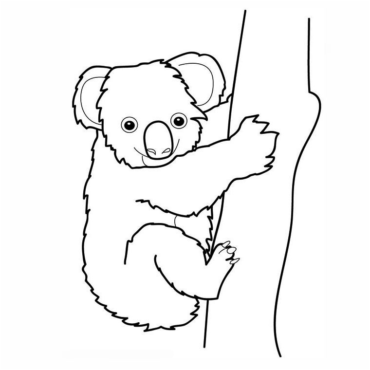 Koala Coloriage Élégant Apprendre A Dessiner Un Koala