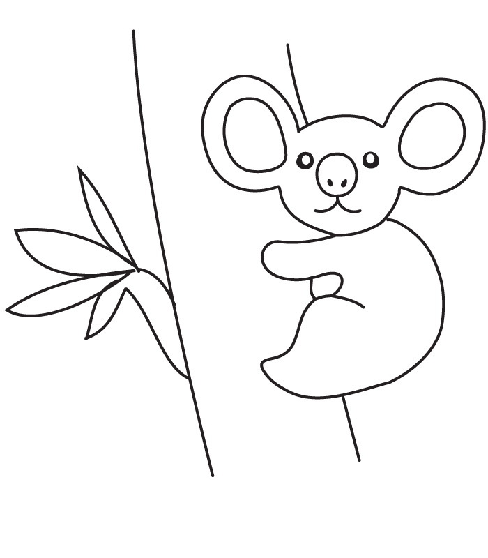Koala Coloriage Inspiration Coloriage Koala