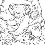 Koala Coloriage Nouveau Koala Coloriage Koala En Ligne Gratuit A Imprimer Sur