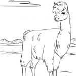 Lama Coloriage Élégant Coloriages Lama Imprimable Gratuit Pour Les Enfants Et