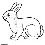 Lapin Paques Coloriage Luxe Coloriage Paques Lapin Dessin