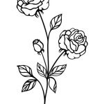 Rose Coloriage Génial Coloriage Rose Img