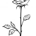 Rose Coloriage Luxe Coloriage D’une Jolie Tige De Rose à Offrir Pour La Saint