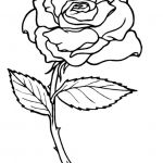 Rose Coloriage Meilleur De Roses Nature – Coloriages à Imprimer