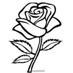 Rose Coloriage Nice Flower Coloring Pages Dr Odd