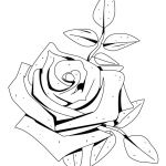 Rose Coloriage Unique Coloriages Fleur De Rose Fr Hellokids